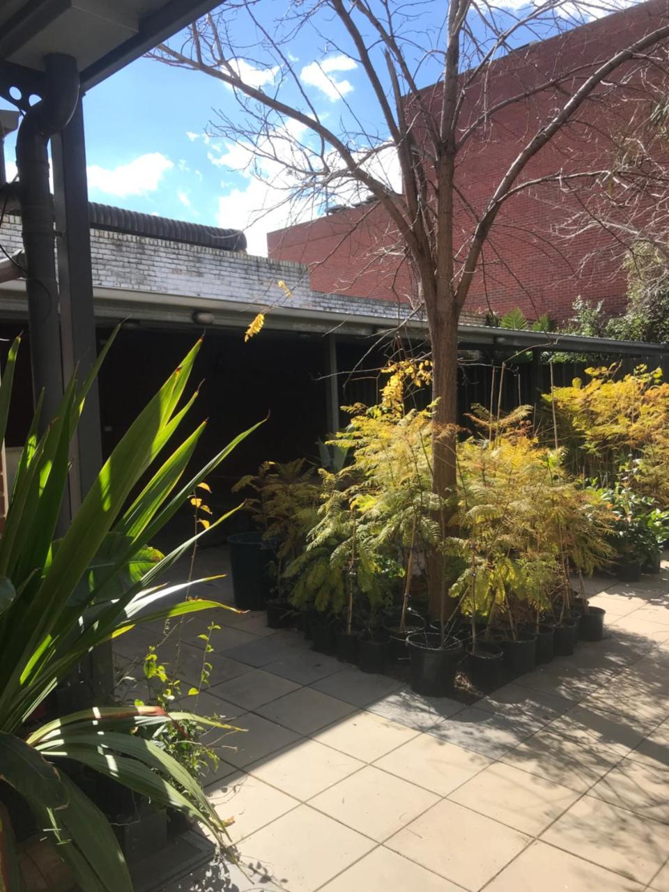 Crown Cbd Motel - City Location Bendigo Buitenkant foto