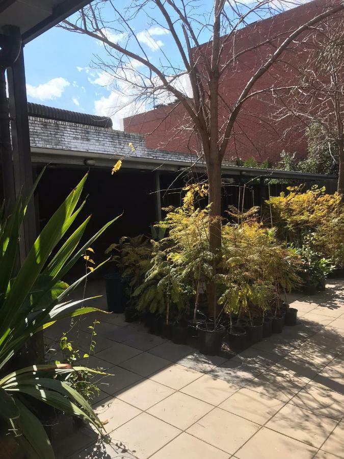 Crown Cbd Motel - City Location Bendigo Buitenkant foto